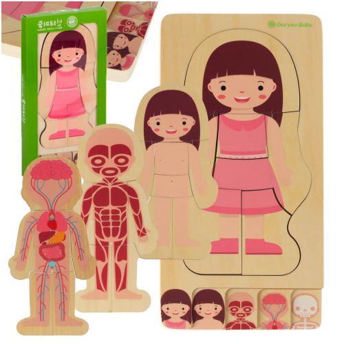 Puzzle drewniane ciało anatomia dziewczynka