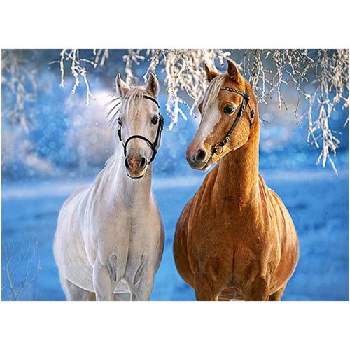-winter-Horses-Zimowe-konie-8-137888