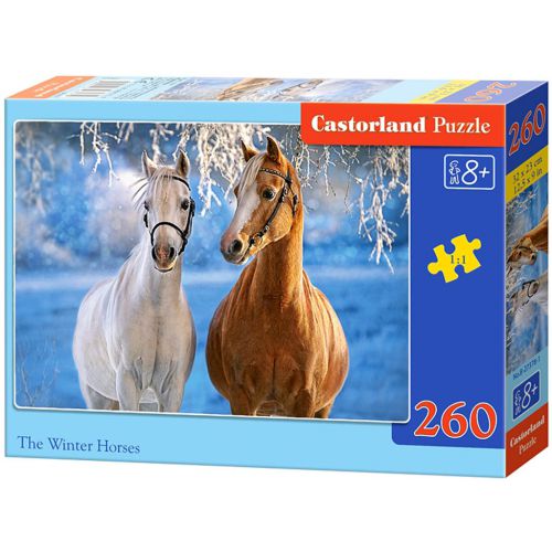-winter-Horses-Zimowe-konie-8-137889