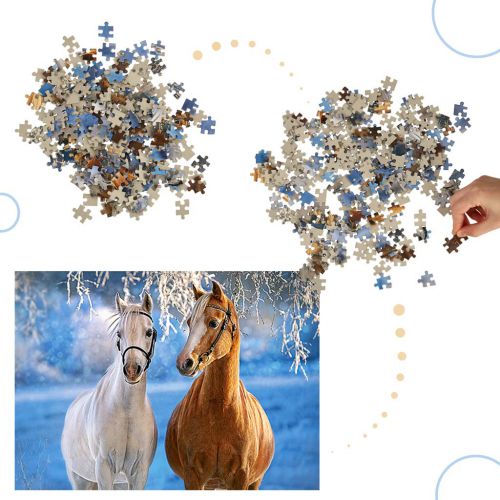 -winter-Horses-Zimowe-konie-8-137891