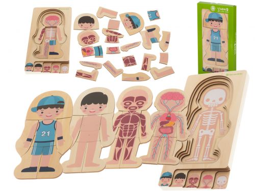 Puzzle drewniane ciało anatomia chłopczyk