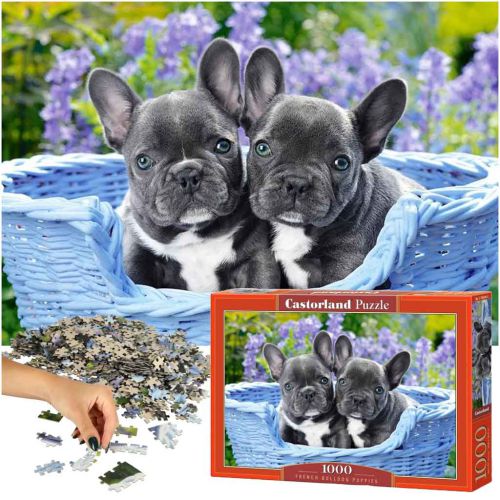 CASTORLAND Puzzle 1000 elementów French Bulldog Puppies - Buldogi francuskie 68x47cm