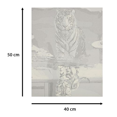 numerach-50x40cm-kot-i-tygrys-136030